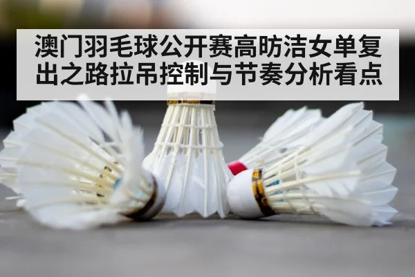 badminton shuttlecock court